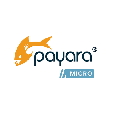 Payara Micro