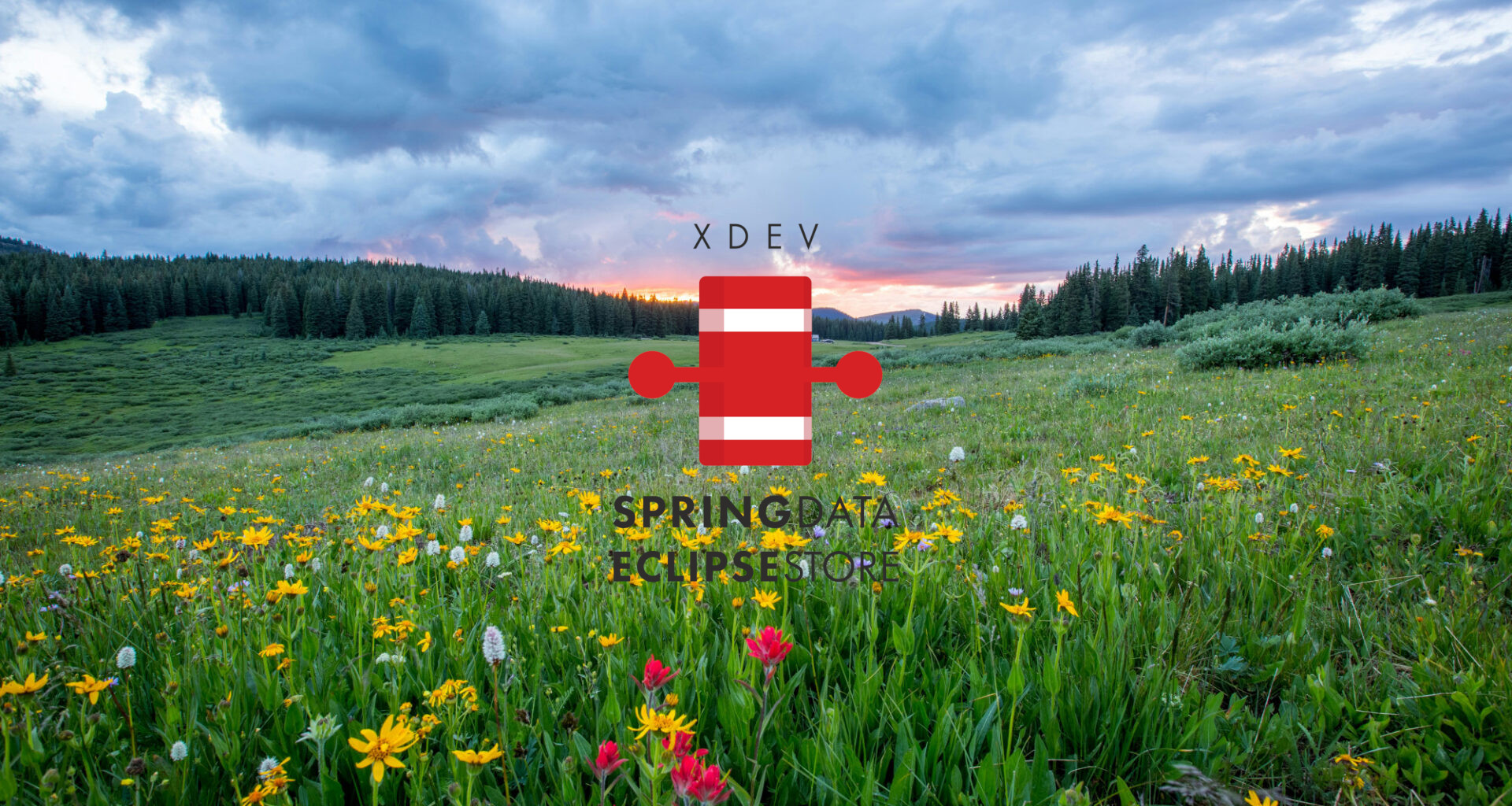 Kostenminimierung durch Nutzung von Cloud-Speicher mit Spring-Data-Eclipse-Store